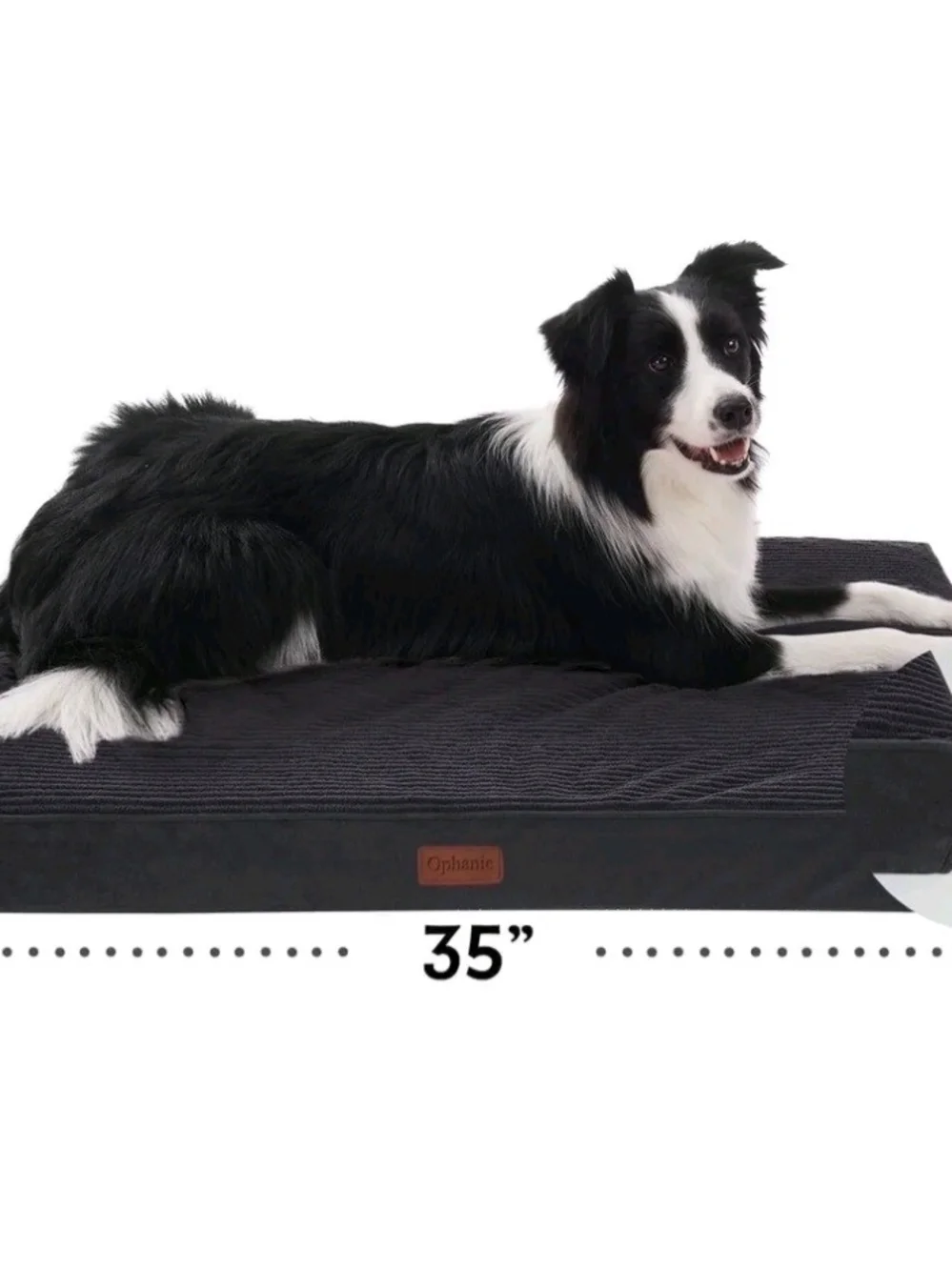 NWT Orthopedic Dog Foam Bed - Black